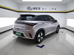 2023 BYD Dolphin 420km Fashion — фото 3