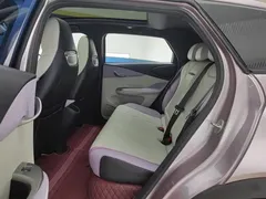 2023 BYD Dolphin 420km Fashion — фото 11