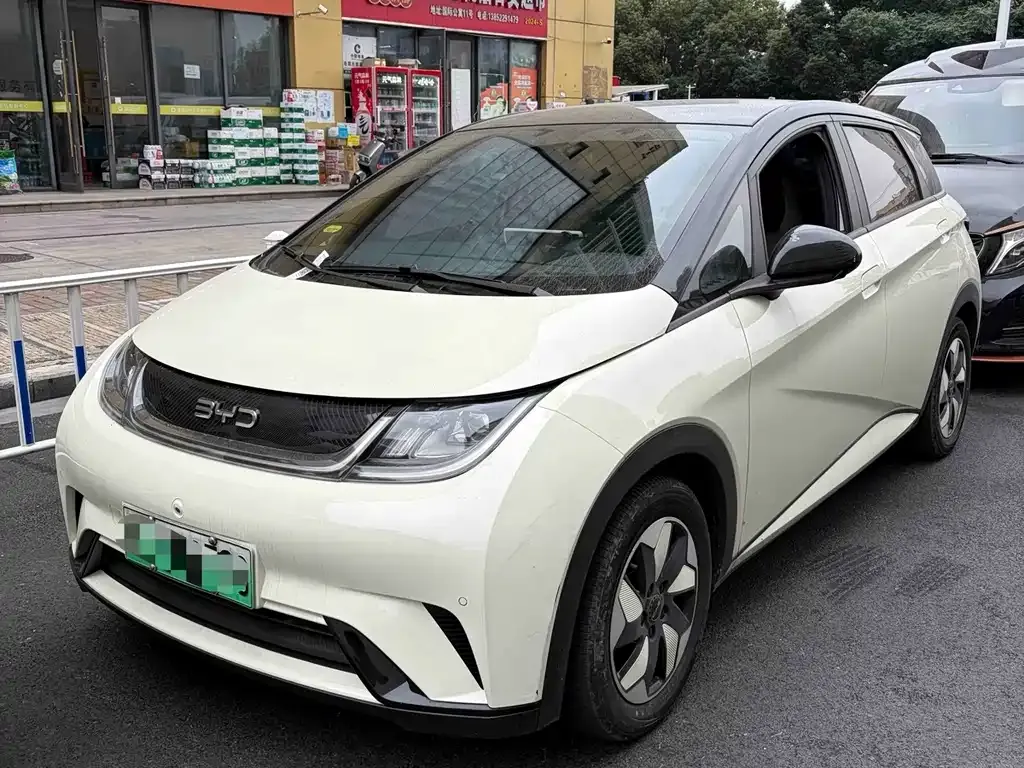2024 BYD Dolphin Honor 420km Fashion