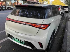 2024 BYD Dolphin Honor 420km Fashion, белый — фото 6