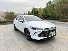 2025 BYD Qin PLUS DM-i PHEV Smart Driving 55km Leading, белый — фото 2