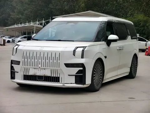 2022 Zeekr 009 WE