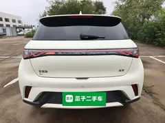 2024 BYD Dolphin Honor 420km Fashion — фото 6