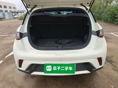 2024 BYD Dolphin Honor 420km Fashion — фото 19