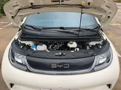 2024 BYD Dolphin Honor 420km Fashion — фото 20