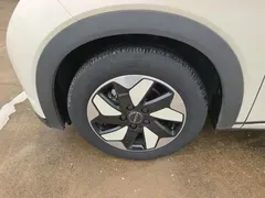 2024 BYD Dolphin Honor 420km Fashion — фото 23