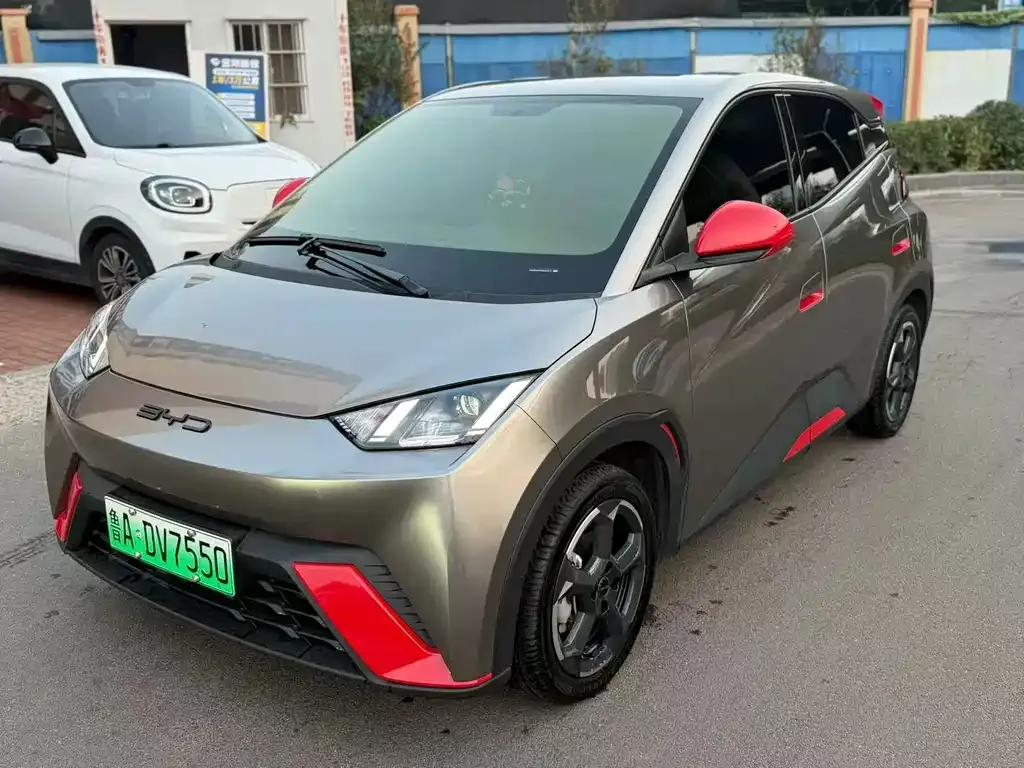2024 BYD Seagull EV 305km Honor Freedom