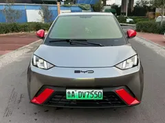 2024 BYD Seagull EV 305km Honor Freedom, чёрный — фото 2