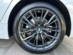 2021 BMW 3 Series 325Li M Sport Night Package, белый — фото 28