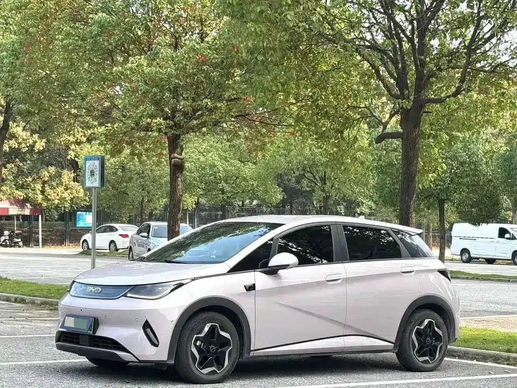 2025 BYD Dolphin Smart Driving 420km Freedom EV
