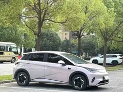 2025 BYD Dolphin Smart Driving 420km Freedom EV — фото 3