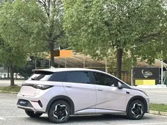 2025 BYD Dolphin Smart Driving 420km Freedom EV — фото 6