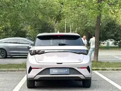2025 BYD Dolphin Smart Driving 420km Freedom EV — фото 7