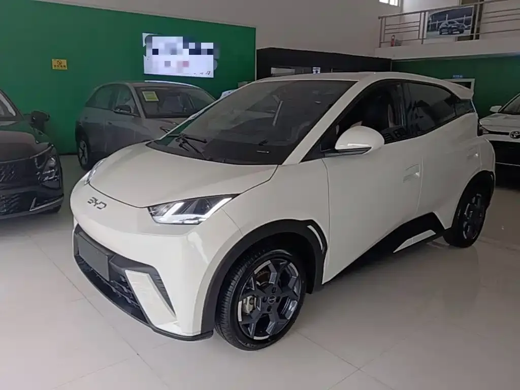 2025 BYD Seagull 305km Freedom