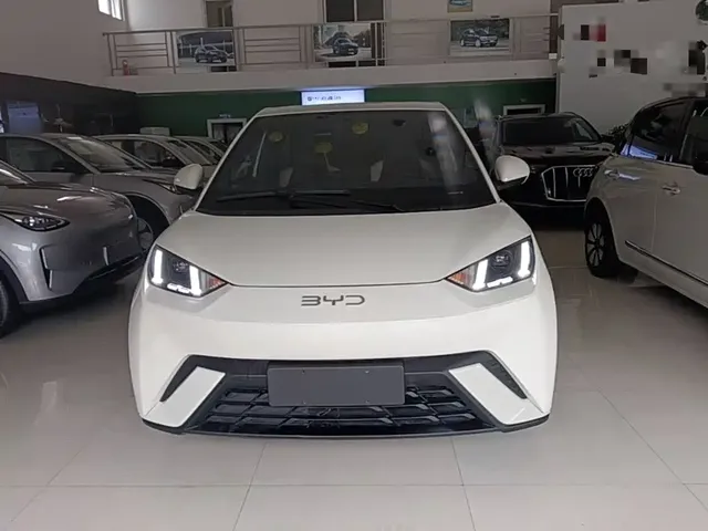 2025 BYD Seagull 305km Freedom