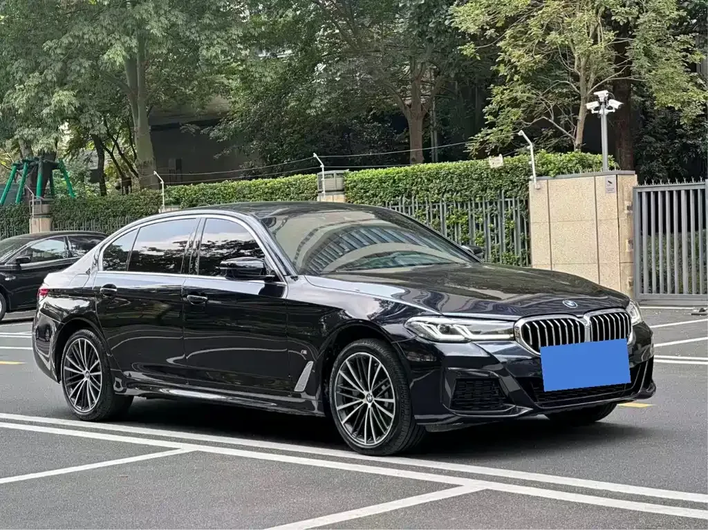 2021 BMW 5 Series 530Li Leading M Sport Package