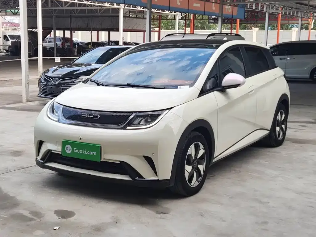 2024 BYD Dolphin Honor 420km Fashion
