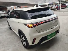 2024 BYD Dolphin Honor 420km Fashion — фото 5