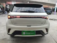 2024 BYD Dolphin Honor 420km Fashion — фото 6
