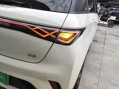 2024 BYD Dolphin Honor 420km Fashion — фото 8