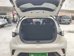 2024 BYD Dolphin Honor 420km Fashion — фото 19