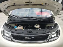 2024 BYD Dolphin Honor 420km Fashion — фото 20