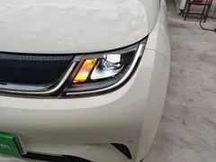 2024 BYD Dolphin Honor 420km Fashion — фото 24