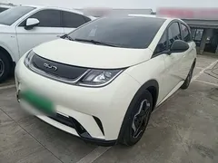 2025 BYD Dolphin EV 420km Active — фото 1