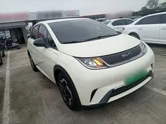 2025 BYD Dolphin EV 420km Active — фото 4