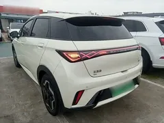 2025 BYD Dolphin EV 420km Active — фото 5