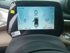 2025 BYD Dolphin EV 420km Active — фото 12