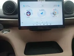 2025 BYD Dolphin EV 420km Active — фото 13