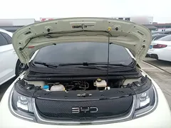 2025 BYD Dolphin EV 420km Active — фото 20