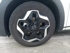 2025 BYD Dolphin EV 420km Active — фото 23
