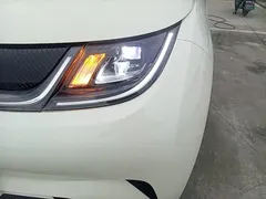 2025 BYD Dolphin EV 420km Active — фото 24