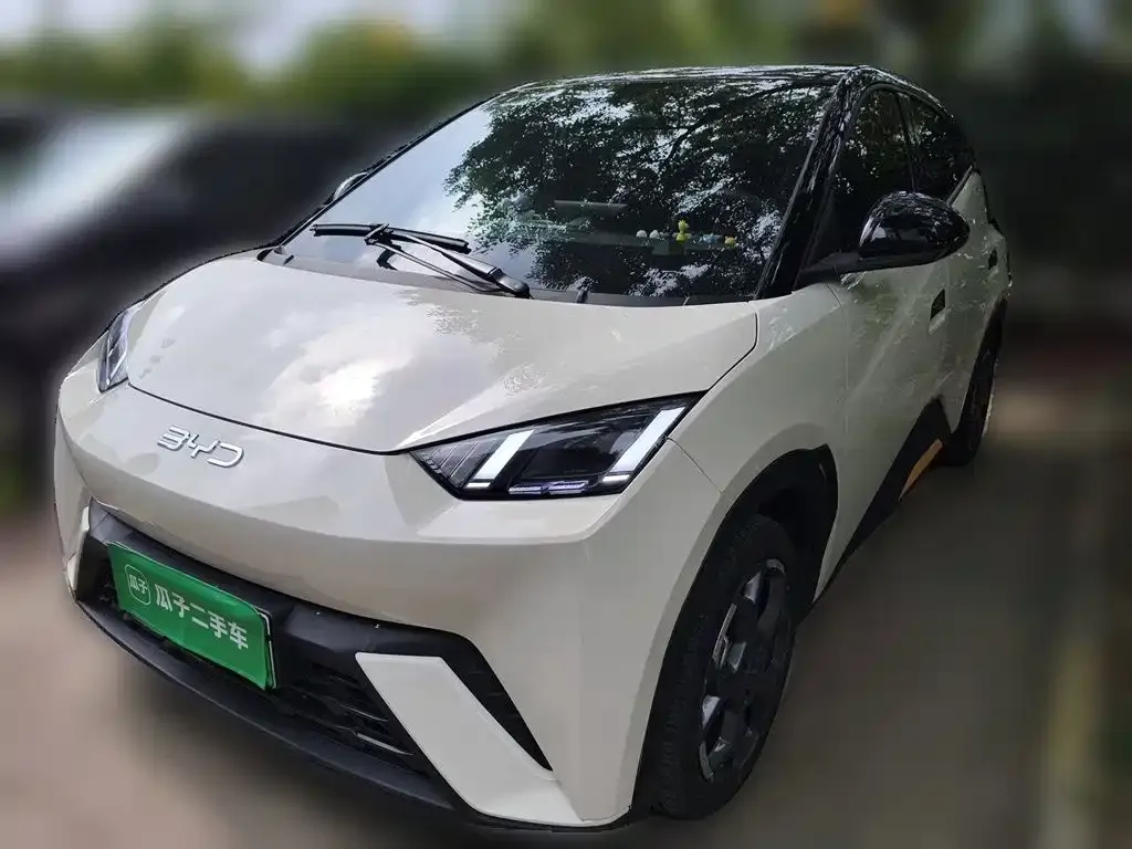 2025 BYD Seagull EV 405km Flying
