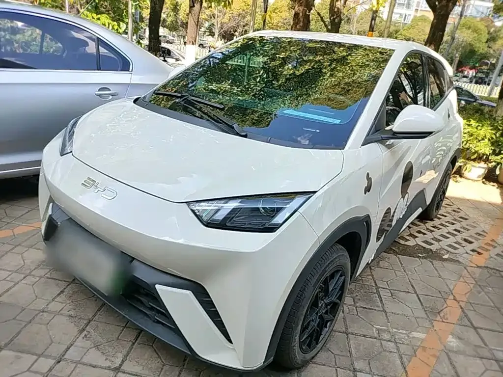 2025 BYD Seagull 305km Vitality