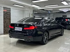 2021 BMW 5 Series 530Li Leading M Sport Package, чёрный — фото 6