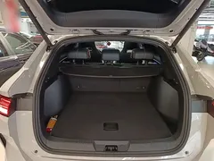 2024 BYD Song PLUS Honor DM-i PHEV 110km Flagship Plus — фото 19