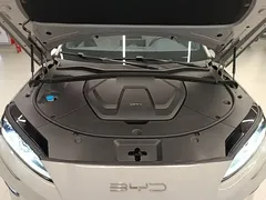 2024 BYD Song PLUS Honor DM-i PHEV 110km Flagship Plus — фото 20
