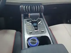 2022 BYD Yuan PLUS 510km Flagship EV — фото 14