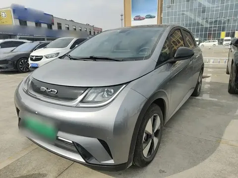 2023 BYD Dolphin 420km Fashion