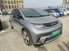 2023 BYD Dolphin 420km Fashion — фото 4