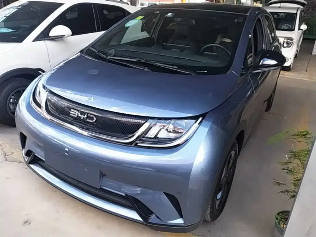 2024 BYD Dolphin Glory 420km Freedom