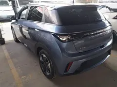 2024 BYD Dolphin Glory 420km Freedom — фото 5