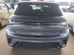 2024 BYD Dolphin Glory 420km Freedom — фото 6