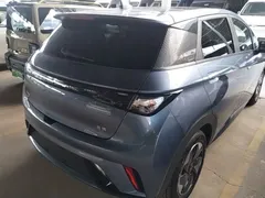 2024 BYD Dolphin Glory 420km Freedom — фото 7