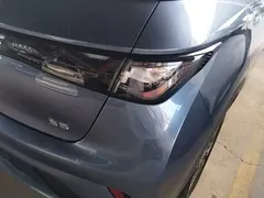 2024 BYD Dolphin Glory 420km Freedom — фото 8