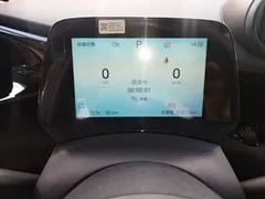 2024 BYD Dolphin Glory 420km Freedom — фото 12