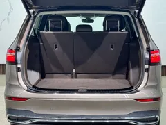 2020 Volkswagen Viloran 380TSI Premium — фото 22